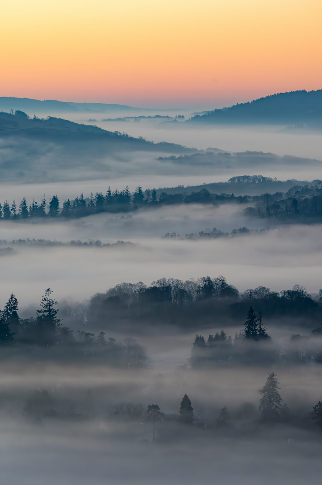Misty forest and valley at sunrise