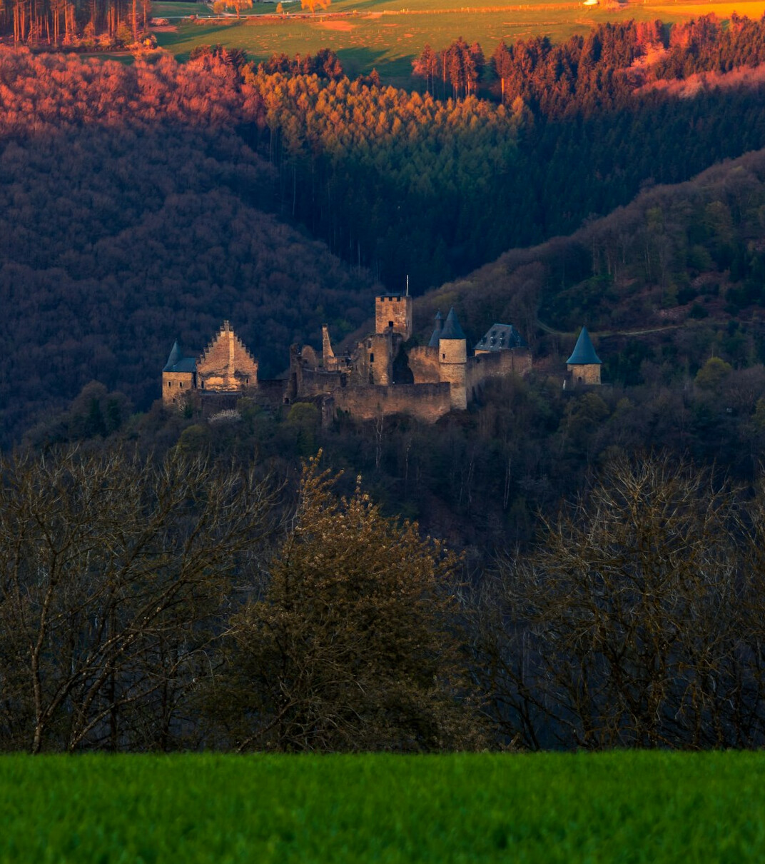 Medieval castle on a hill above a green valley