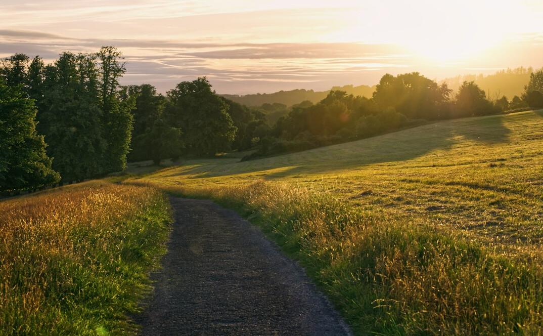 Scenic countryside path through green hills at sunrise
