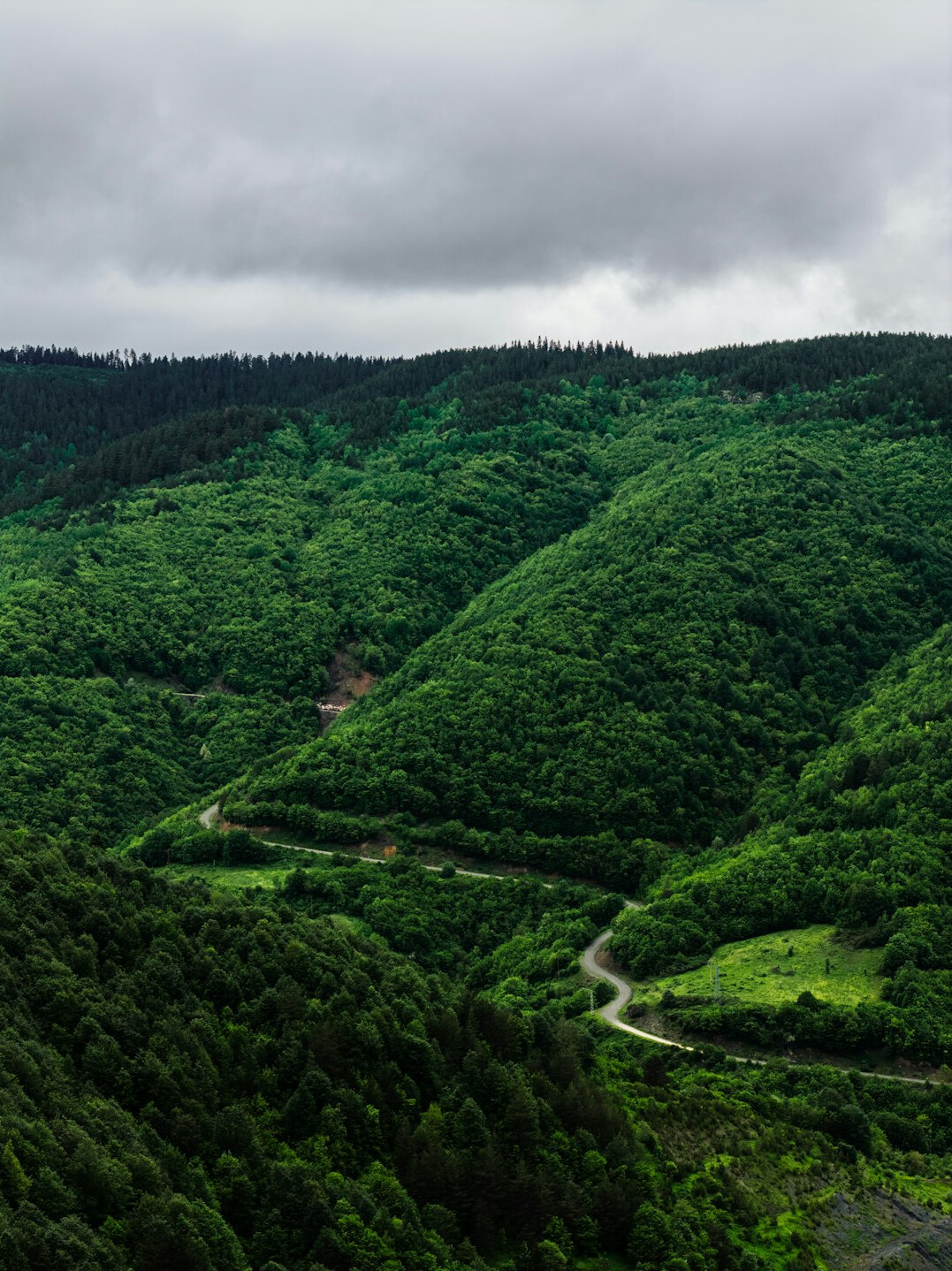 Green hills and forest landscape under a cloudy sky