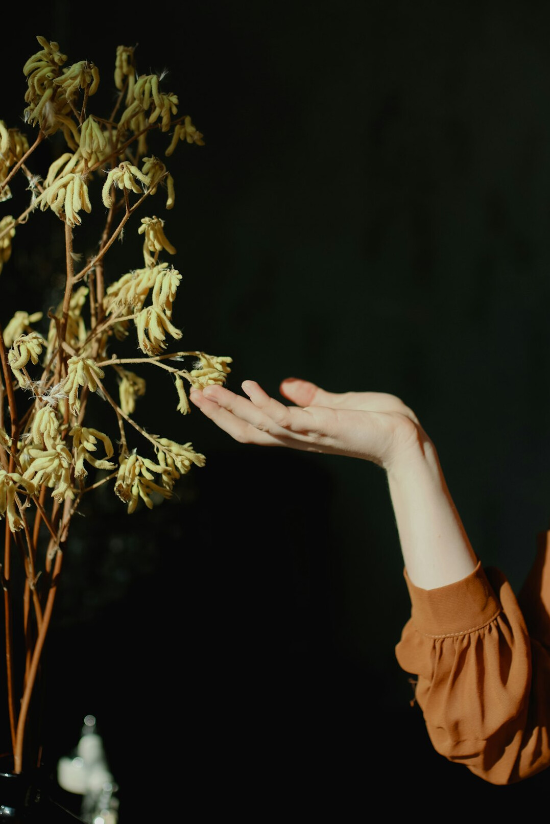 herbal rituals poland